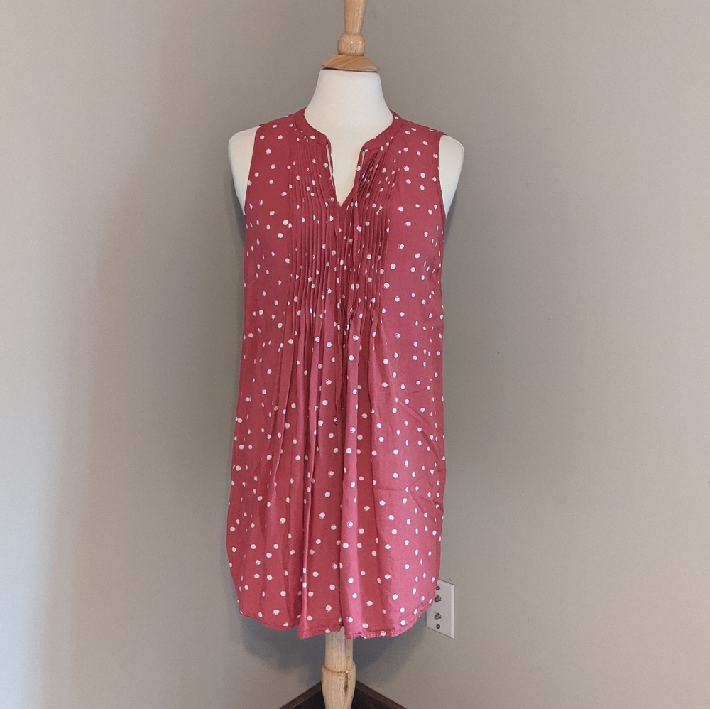 Pink Polka Dot ana Dress